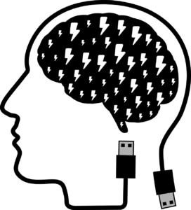 l-tyrosine importance